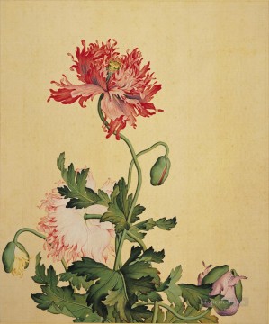 フラワーズ Painting - ラングシャイニングケシの古い墨ジュゼッペ・カスティリオーネの花飾り